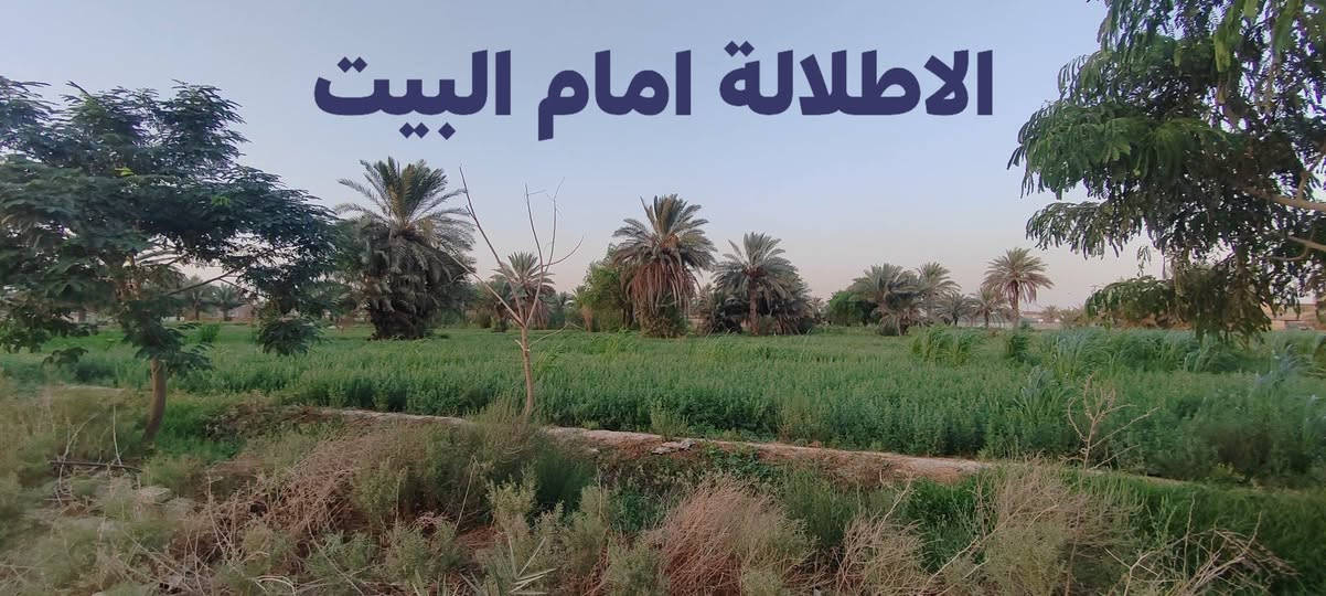 من رخصة صاحب الكروب
بيت ولا بالخيال والسعر جدا مغري

رقم صاحب المنزل :  *********** 
بيت للبيع مساحة 385 متر صافي
الواجهة 15 متر + النزال 25 متر ونص
مساحة البناء 200 متر صافي
اما الباقي 150 متر حديقة + كراج

منطقة العريفية جسر ديالى خلف طرشي الباخرة
قريب على شارع ابو مروان منطقة زراعية راقية قريب على الزعفرانية وبسماية كلشي بصفك. 

يحتوي البيت على صالة كبيرة + مطبخ كبير مفتوح على الصالة + صحيات ( حمام + مرافق.)
 3 غرف نوم  + وحدة من غرف النوم كبيرة مع حمام داخلي يعني سويت كامل يعني البيت 3 غرف نوم  + حديقة داخلية خلفية داخل البيت بمساحة تقريبا 35 متر جميع الغرف مطلة عليهة. 
نوعية البناء مسلح شيش درجة اولى + طابوق جمهوري و سمنت مزانيا اصلي

سعر البيت جدا مغري وقابل للتفاوض 

سبب البيع لا توجد ميزانية لتغطية بناء البيت. 

للاستفسار اكثر : فقط اتصال غير متواجد على الإنترنت :  ***********
