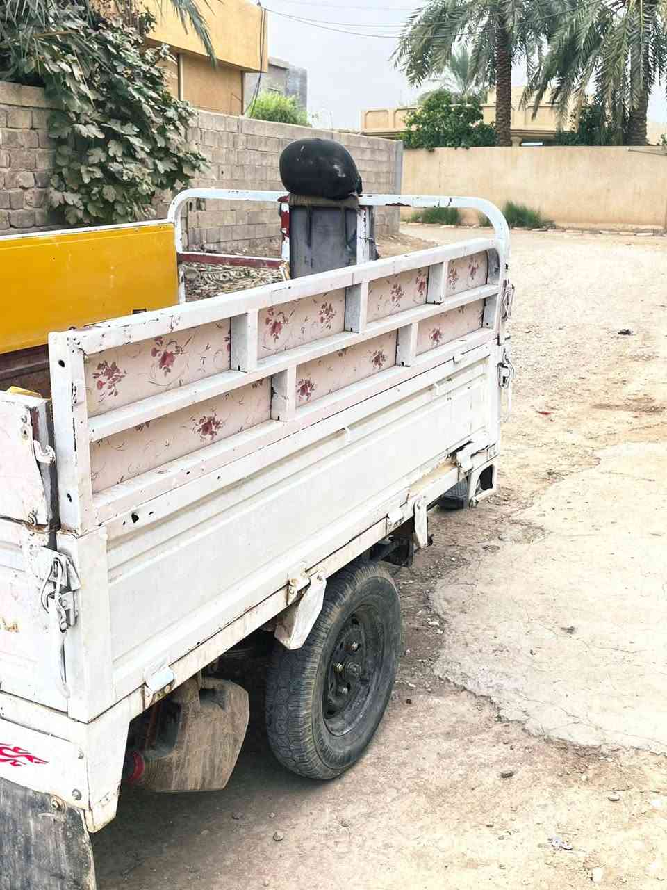 ستوته • بدون أوراق • نضيفه