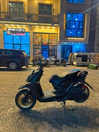 سكنس جبلي • ٢٠١٤ • كفالة