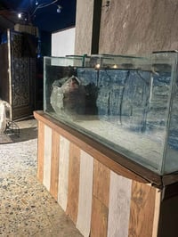 حوض سمك • كامل الأغراض • حي الانتصار