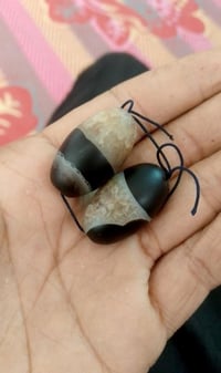 قيم • نطي • أجيك