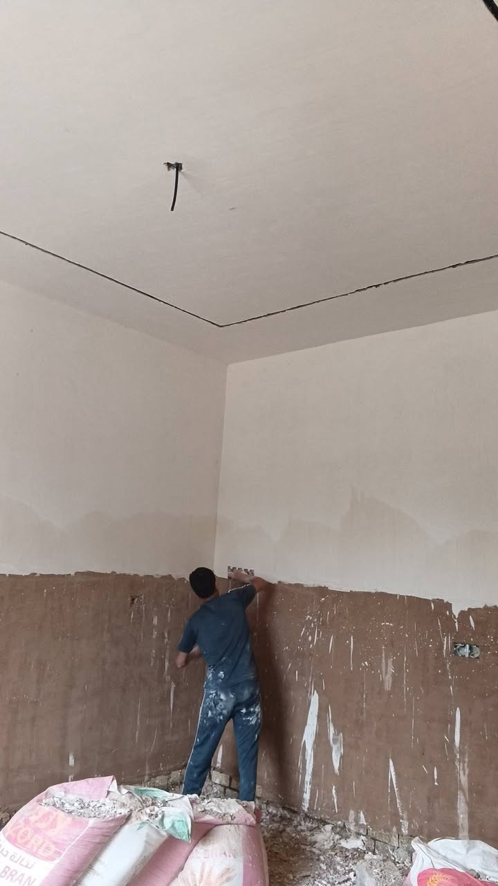 مبيضجي • جص • درجة أولى