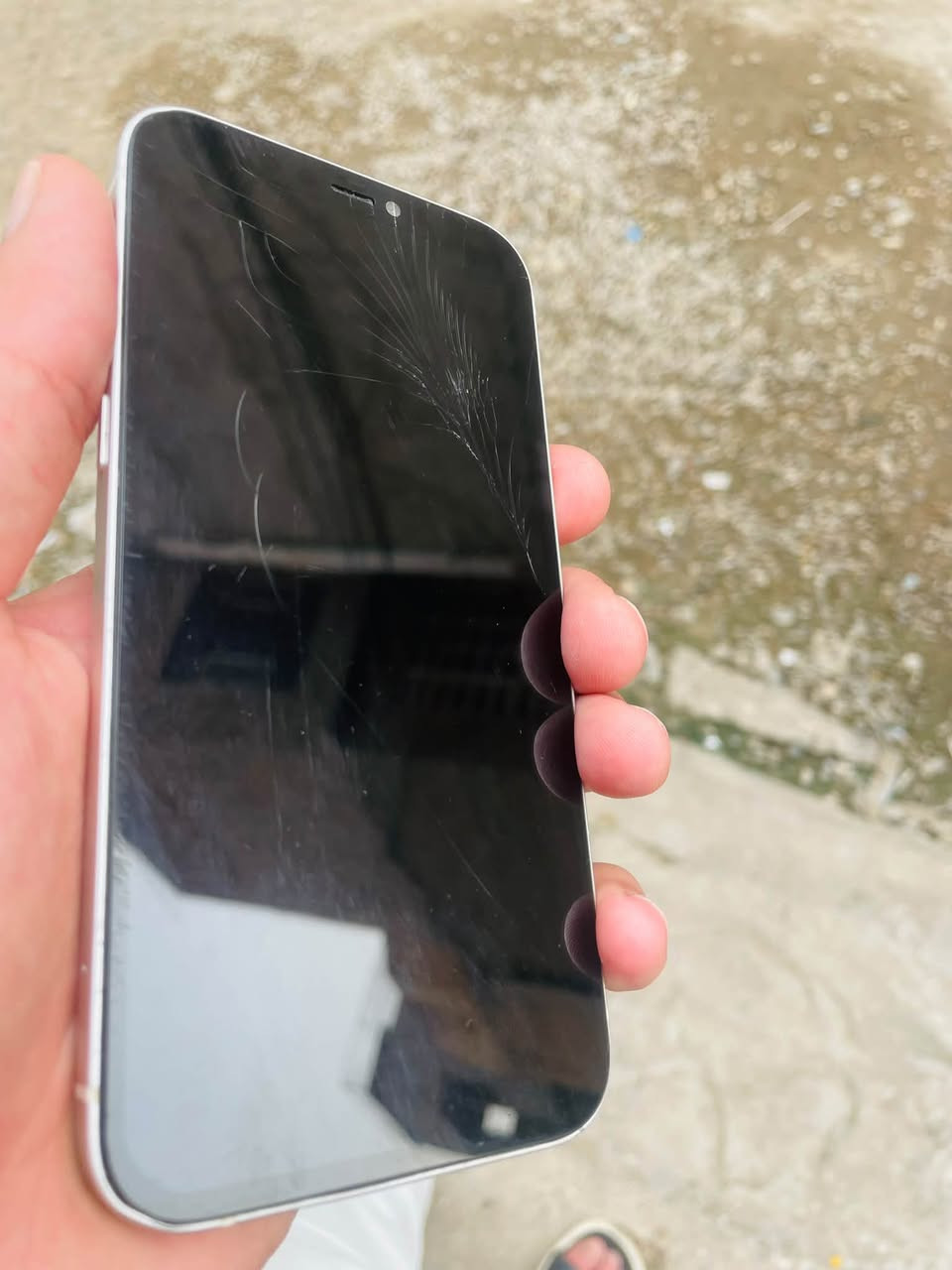 آيفون ١٢ • ١٢٨ • شاشه مبدله