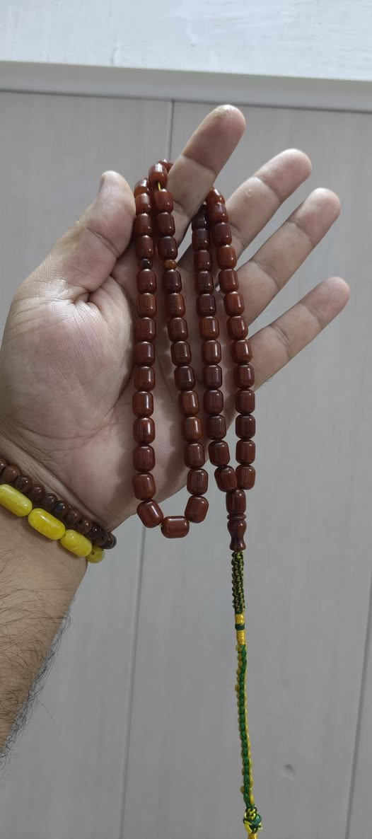 سندلوس • عظم • أسعار مناسبة