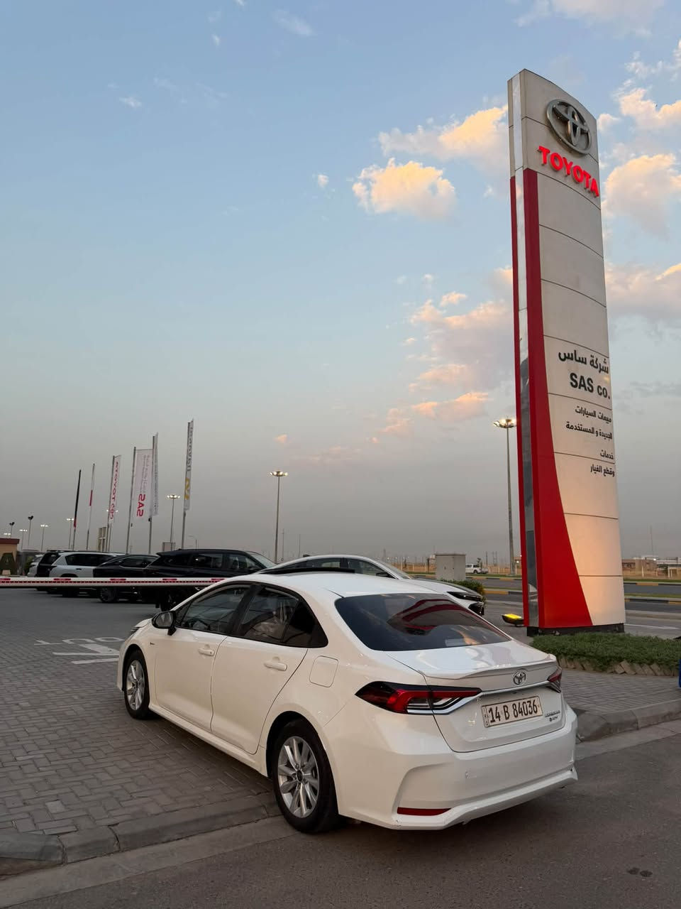كورلا هايبرد • ٢٠٢٥ • كفالة عامة