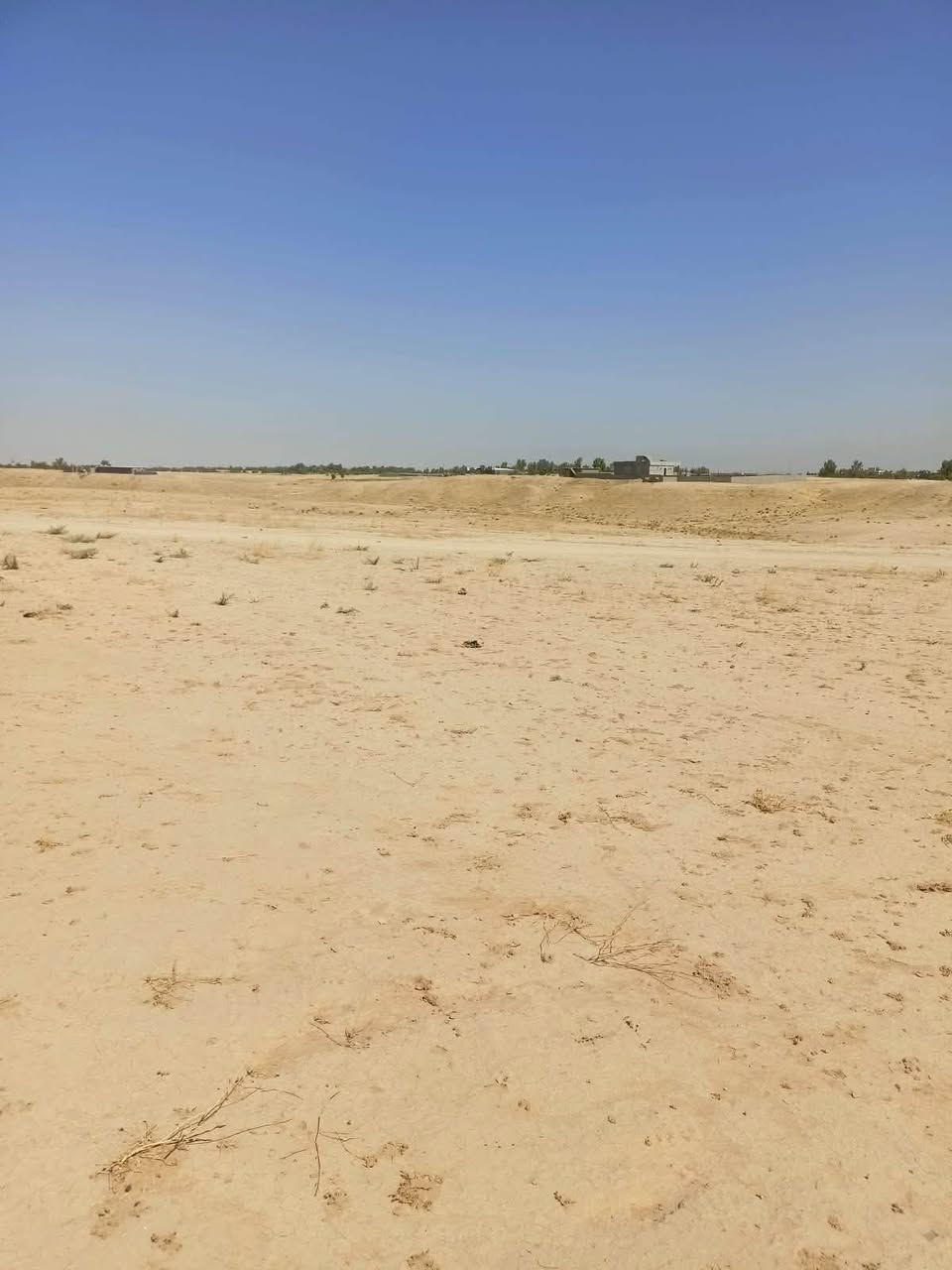 السلام عليكم
ارض زراعيه للبيع المساحه ٧دونم المكان قضاء الشرقاط جزيره بعاجه 

تصلح بستان كبير او حقول دواجن وغير ذلك 

البيع كاملاً بدون تقطيع 

للاستفسار ***********
