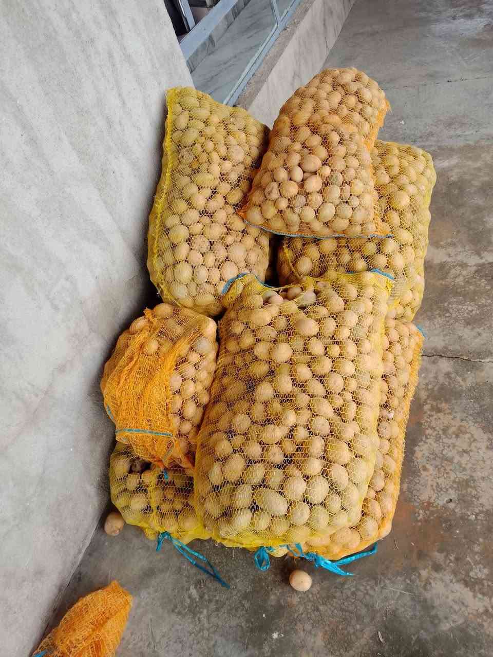 سلام عليكم ورحمه الله وبركاته اخواني بتيته البيع السعر 450المكان الانبار قضاء هيت ***********بتيته مال زراعه
