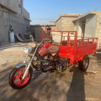 ستوته امتيار • فحل • ٢٠١٦