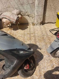 ماكس ثعلب • ١٤٠ • ناعمه