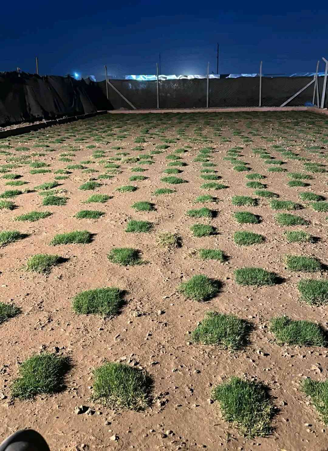 ثيل طبيعي • تسوية أرض • الديوانية والحلة