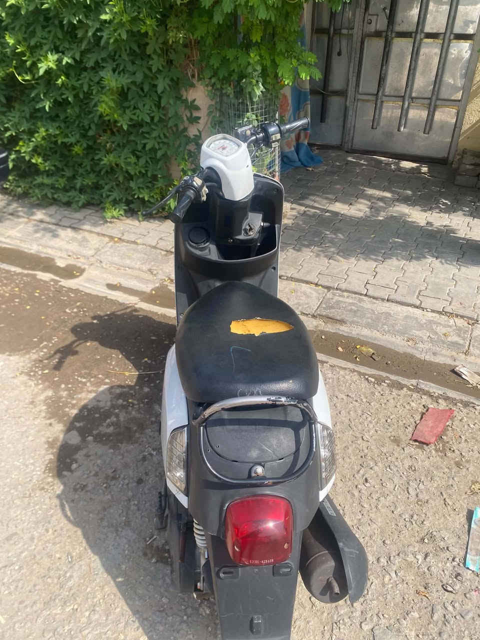 ماكس بوليسي • جديده • ما مفتوحه