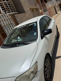 كورلا خليجي • ٢٠١٣ • رقم أربيل