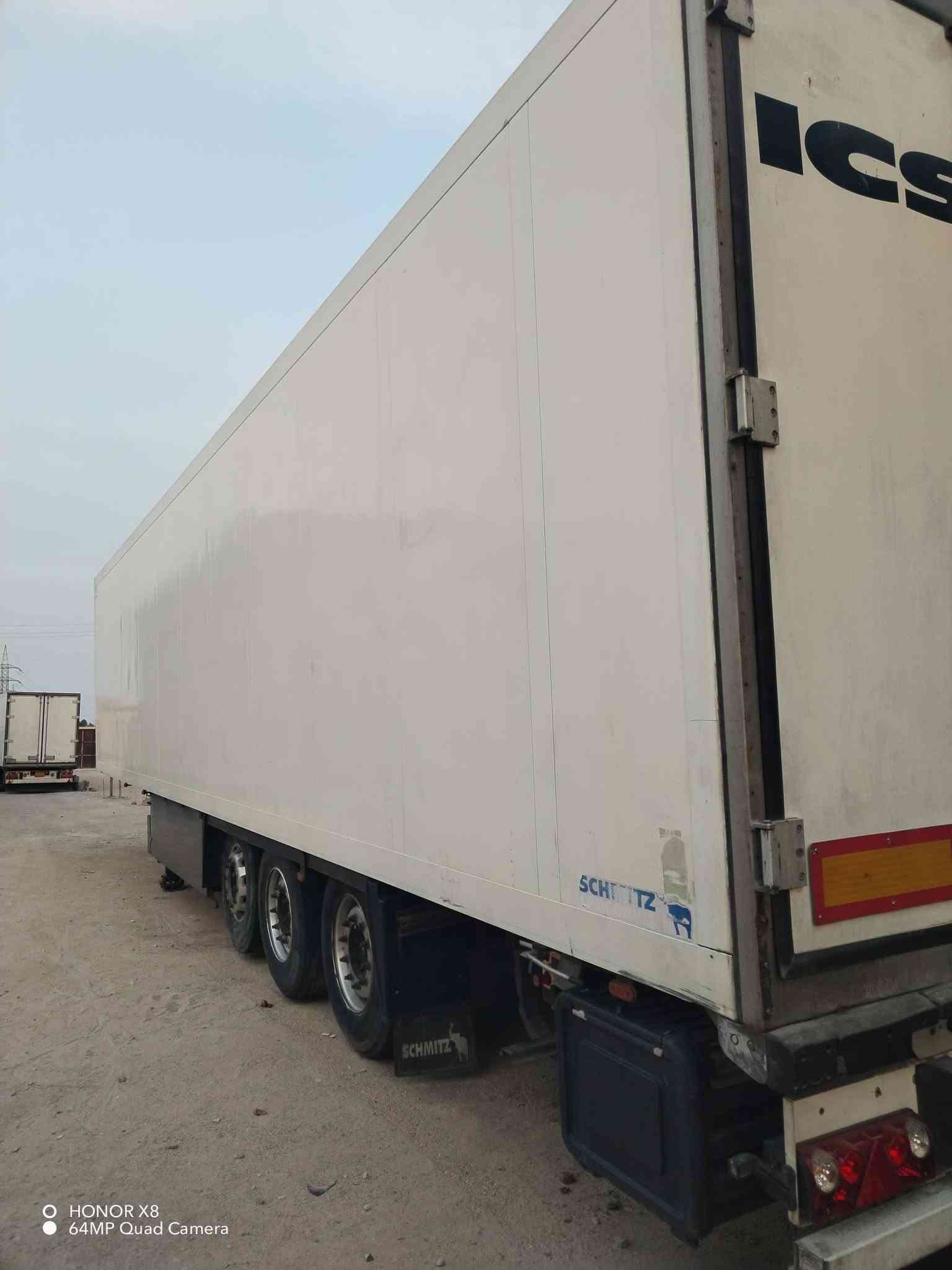 براد منفيس • دخول جديد • سمك ٧