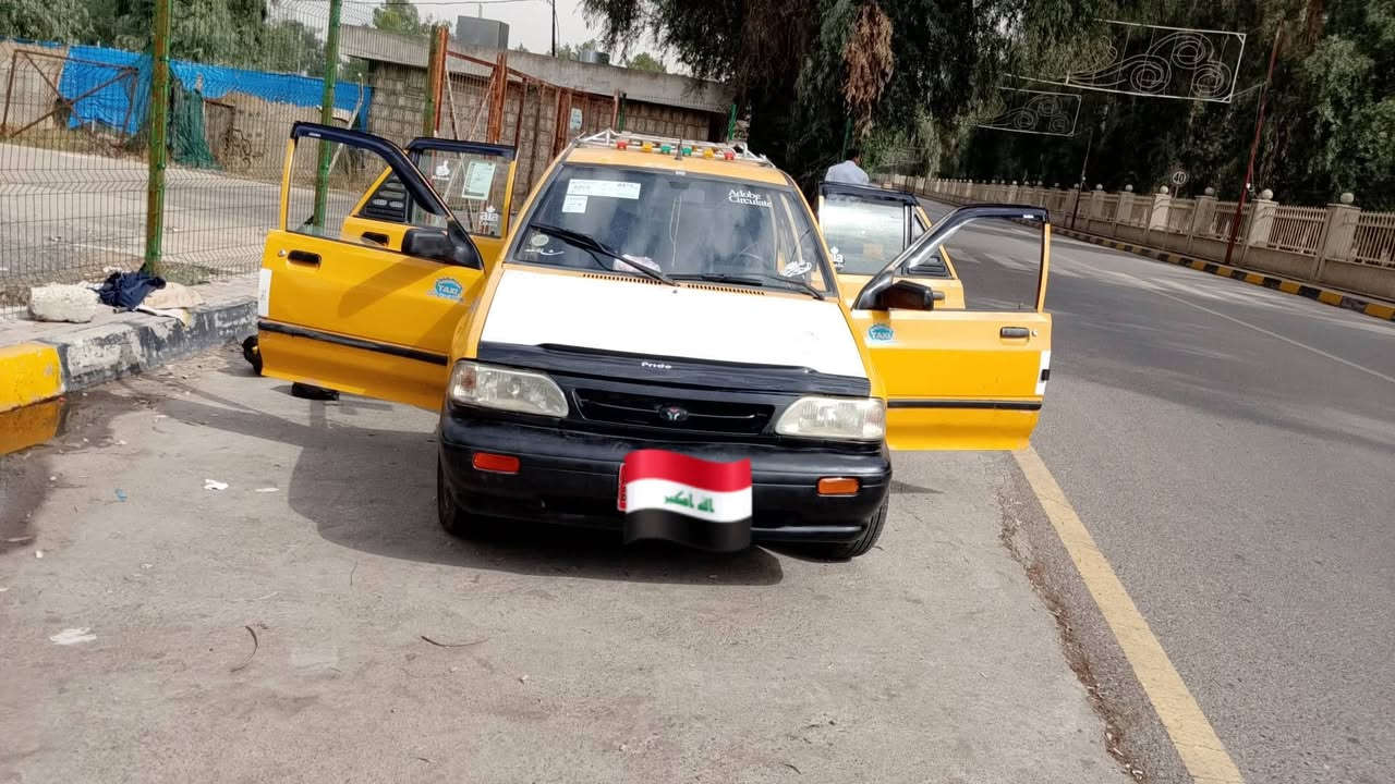 سايبا • ٢٠١٠ • شاصي ملحوم
