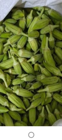 بانيه • طازة • توصيل