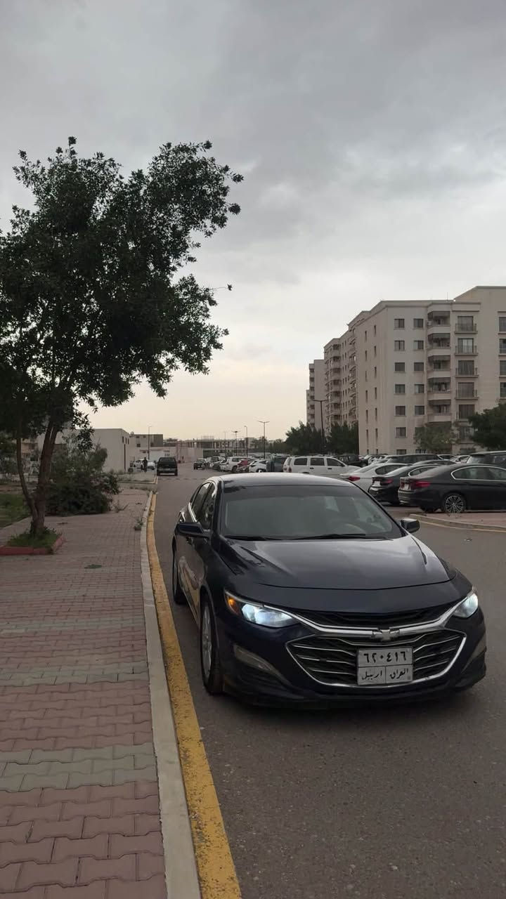 سلام عليكم 
ماليبو 2019 LT
1500 تيربو
لون ازرق غامق
ماشيه 81 (١٣٠ كيلو)
فول مواصفات عدا الفتحه
شاشه كبير 
تدفئه كشنات
مثبت سرعه
تحكمات 
قطعتين تبريد
الخ…
حادث السياره دعاميه بامريكا 
وهنا صار بيها بل صندوق ثنينهن خفيفات
مصبوغه حزام كلير
السياره بيها نقوصات 
السعر 75وبيها مجال بسيط 
 مكان السياره بغداد حي العدل
للتواصل ***********
