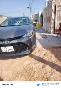 كورلا • ٢٠١٩ • وارد امريكي