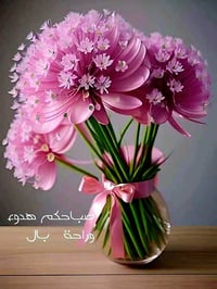 السيديه • جامع الصديق • ٢٠٠متر