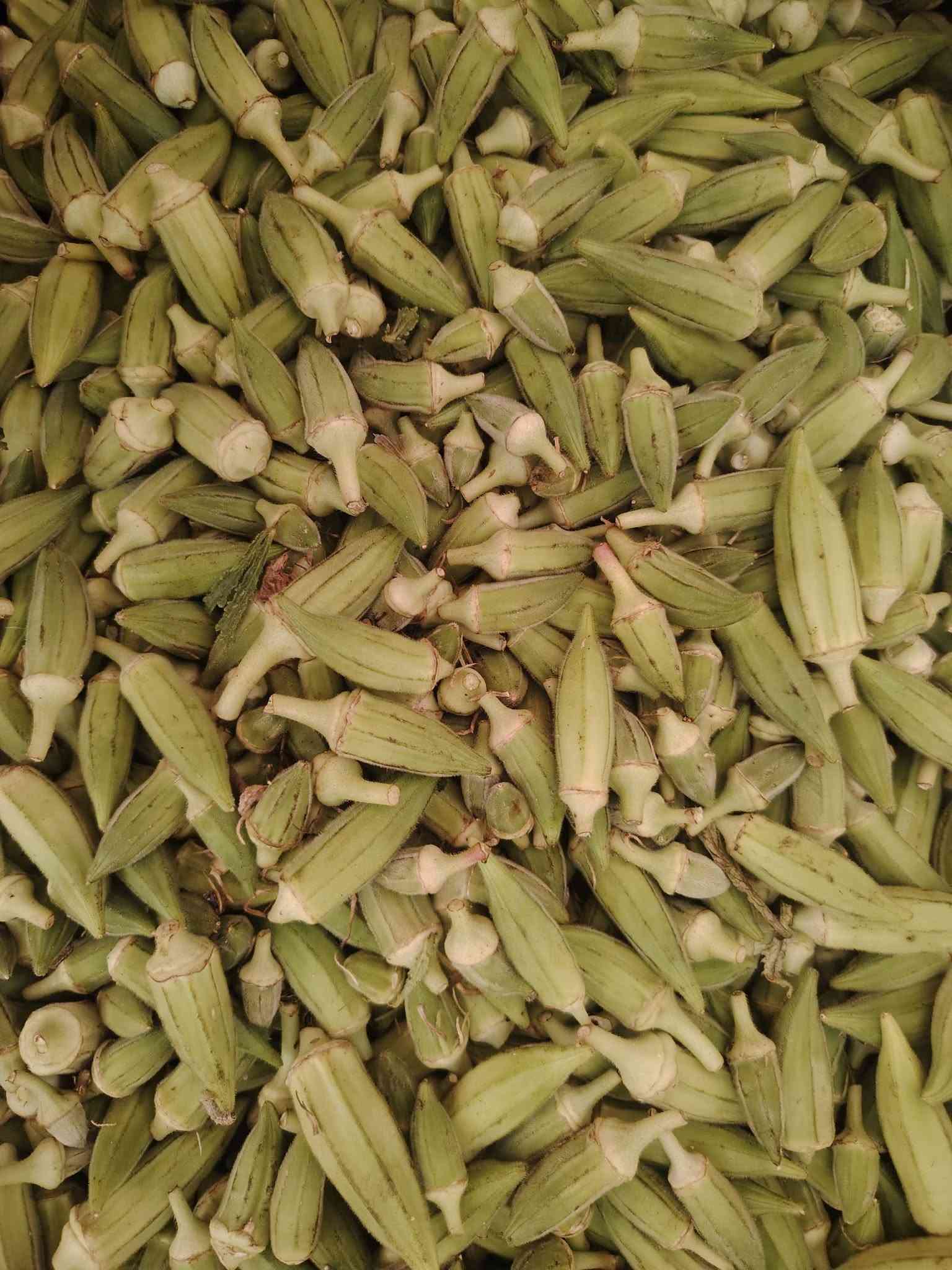 فواكه وخضار • عراقيه ومستورده • الصويره توصيل ٢٤ ساعة