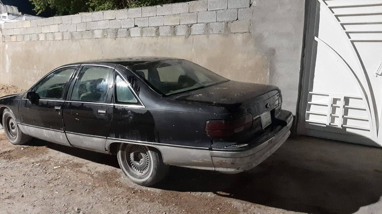 دولفين • موديل ٩١ • رقم واسط