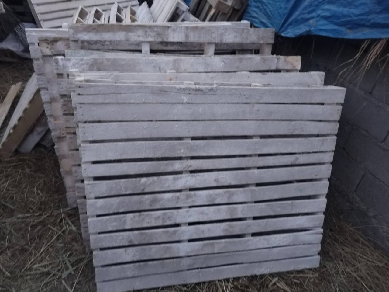 سكيب • الصويرة • واسط