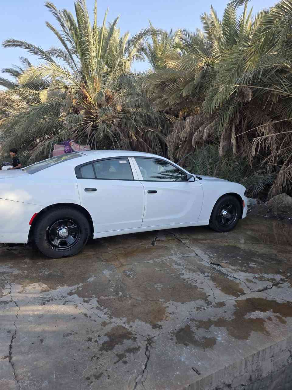 جارجر مديل 16اصل بيه بجم بدون دواخل /*********** / السعر 180
