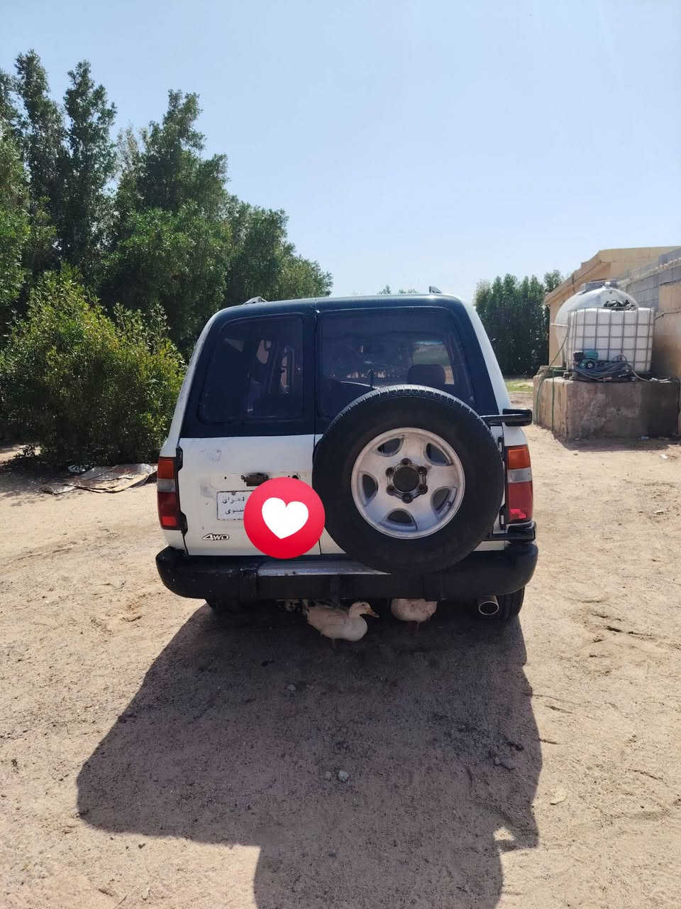 سلام عليكم لندكروز ليله علوي مديل 92رقم نينوى سياره مال قاصرين أهلها ابو الخصيب محرك فيفيتي 3000ام الكلاص محرك خير من الله تواصل *********** عنوان بصره زبير سعر 28 بيهه مجال

