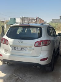 سنتافيا • ٢٠١١ • فلوجه