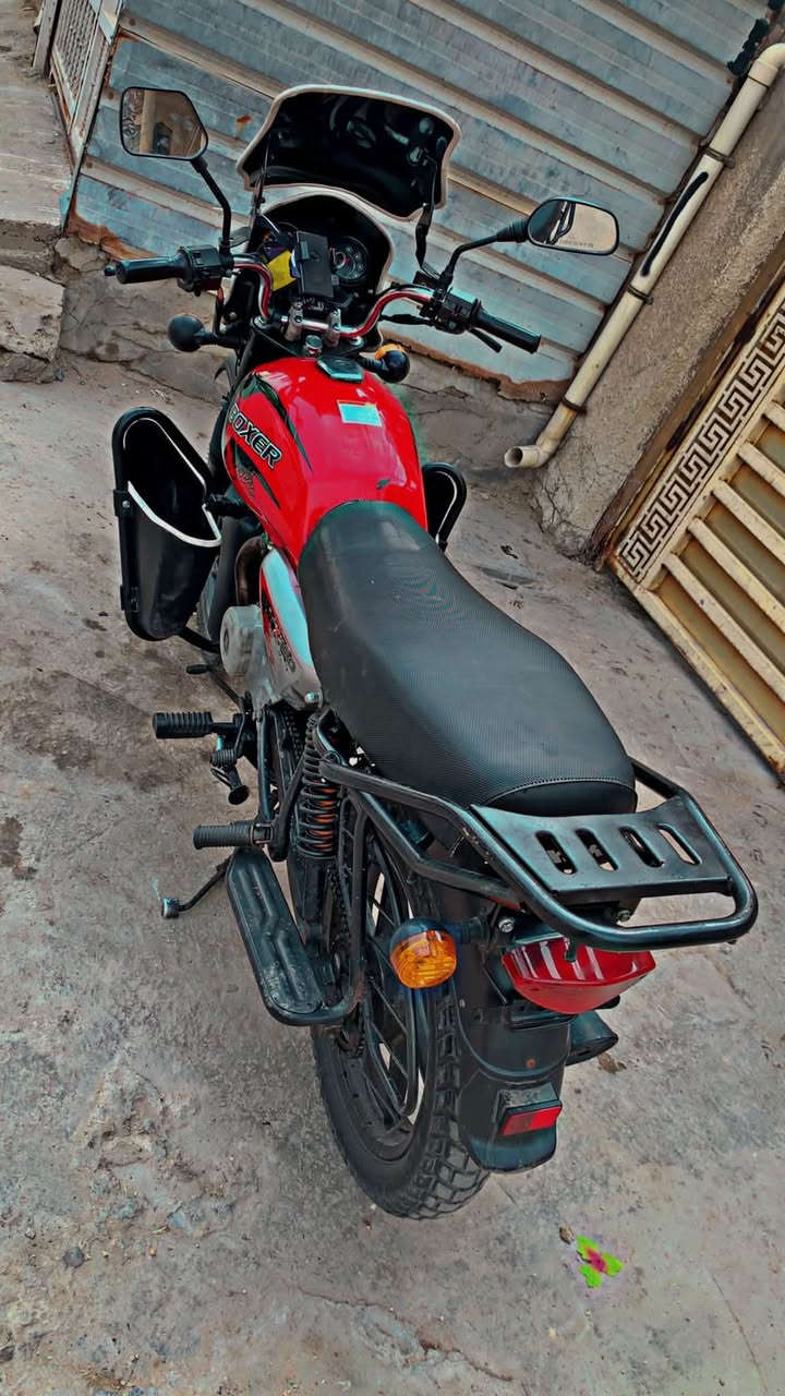 بوكسر • ٢٠٢٣ • جبلي