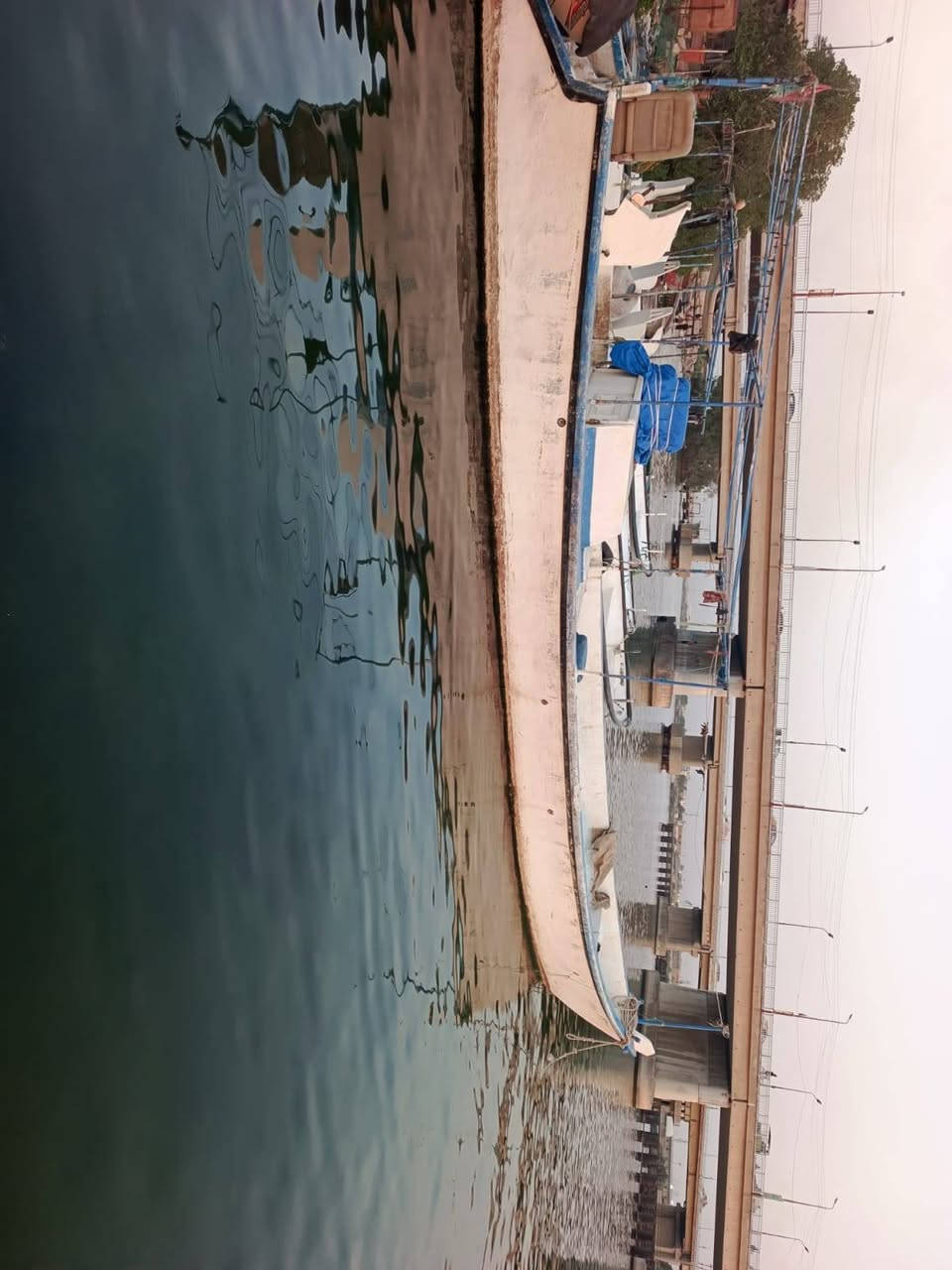 بانوش للبيع  المكان كرمة علي حي الطليعه الاستفسار على هذا رقم ***********
