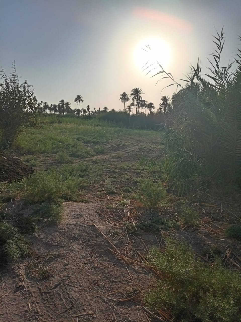 🌿 دونم زراعي للبيع  🌿

فرصة مميزة لامتلاك دونم زراعي بسند 25، مع تحويل رسمي مباشر باسم المشتري.

📍 الموقع:
طويريج – الرشيدة، قرب سيطرة 19 على طريق محمد العابد، ويبعد أقل من 300 متر عن الشارع المبلط.

✅ جميع الخدمات متوفرة.
✅ موقع مناسب للسكن أو الاستثمار.

📞 للتواصل:
اتصال أو واتساب: *********** كربلاء, العراق
