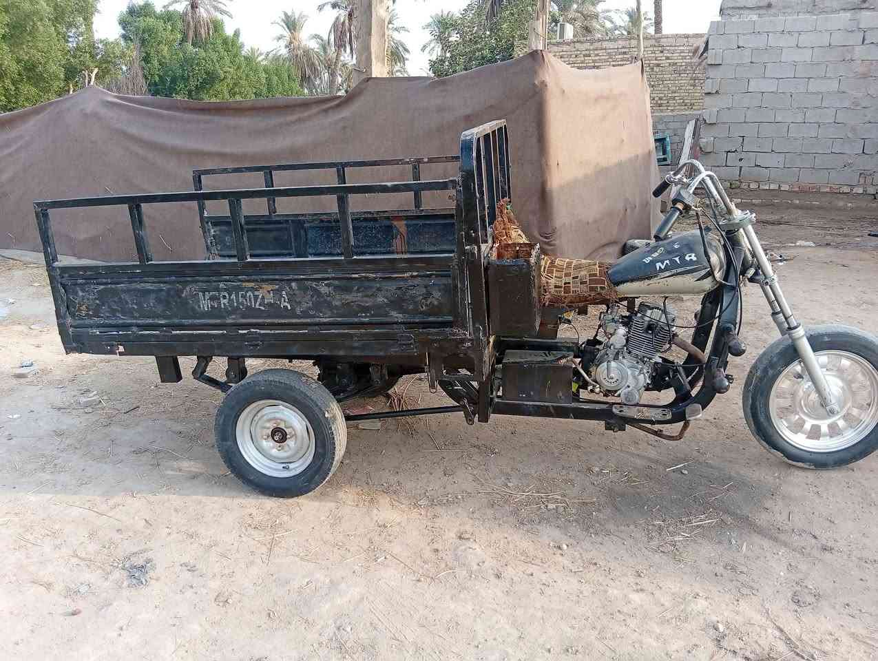 ستوته • كلك مكفولة • ٢٠٠٨