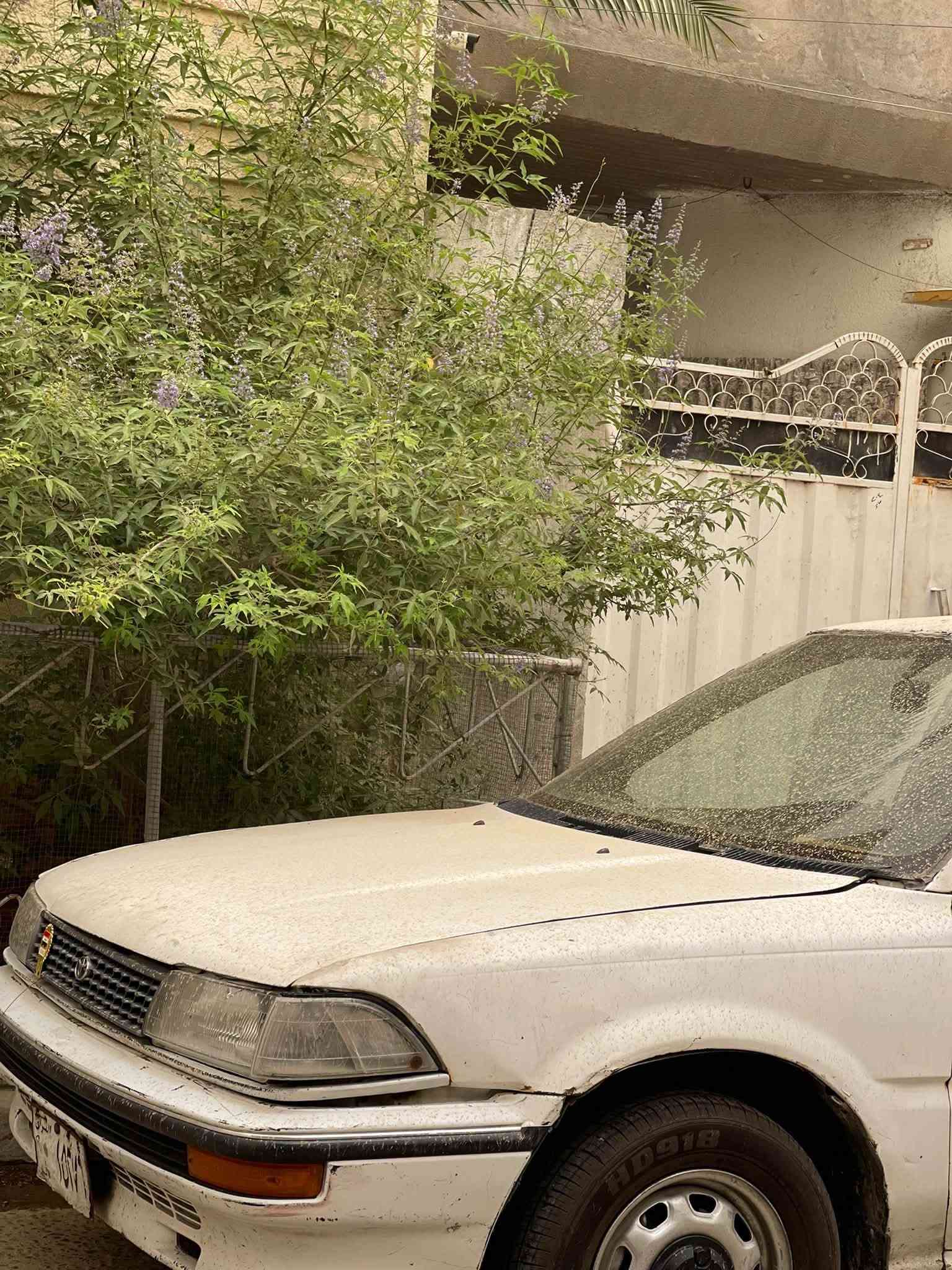 كورلا 90 رقم انبار راعيها يحول بالانبار
السيارة بالبصرة وراعيها بالبصرة 
السعر 29 
***********
