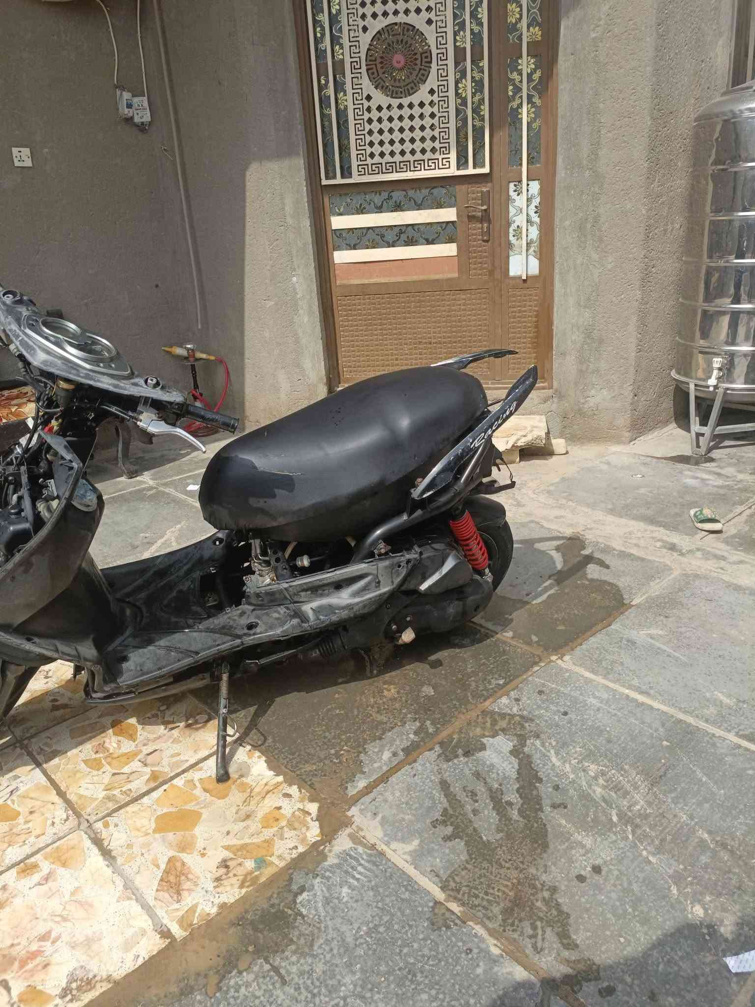 سكنس فحل • نكره • كفرات