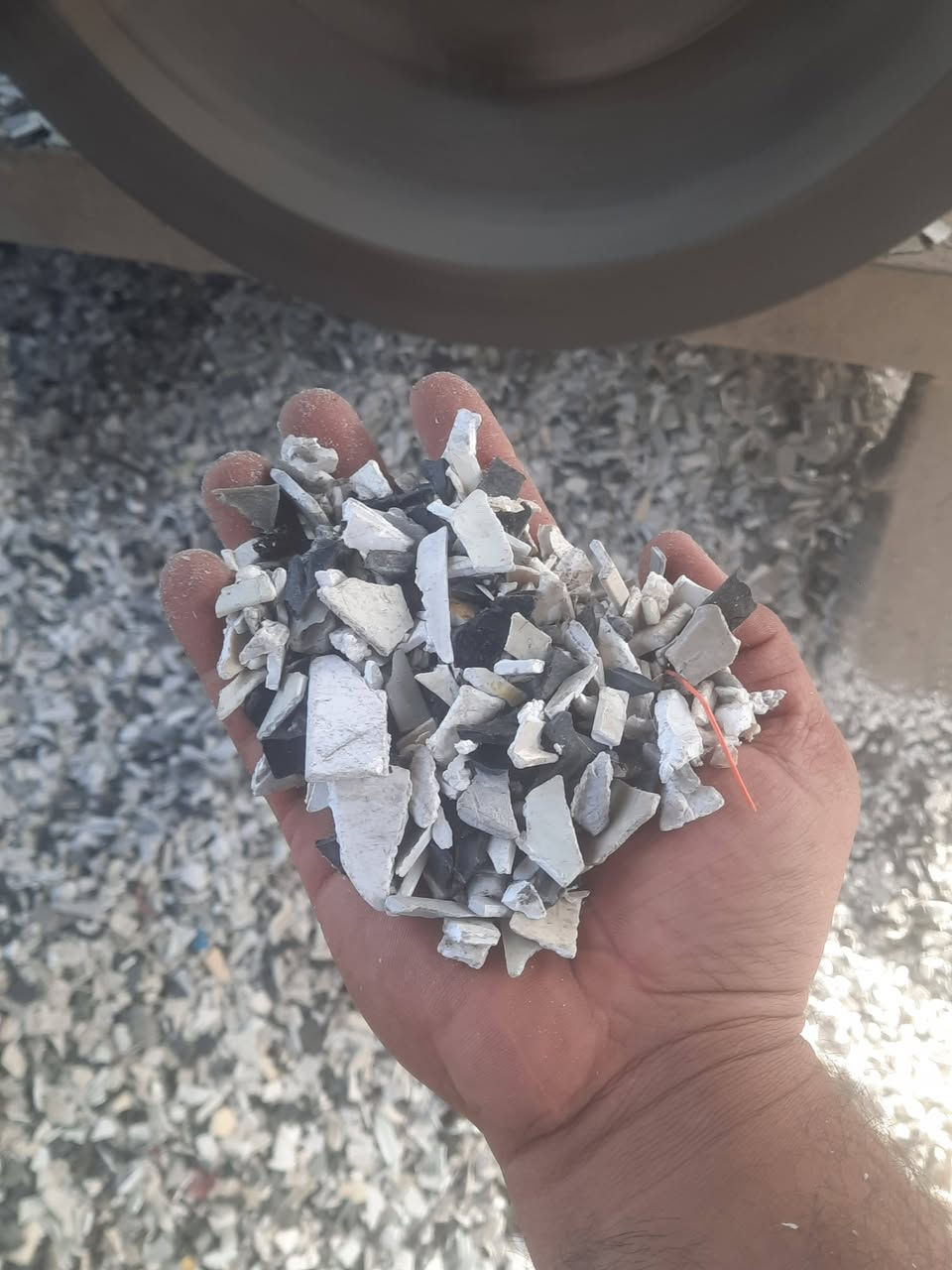 باقة سبلت • مغسولة • المعامل الباوية