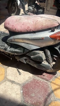 سكنز • ياباني • ١٥٠