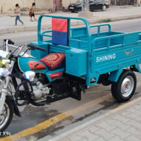 ستوتة • ٢٠٢٣ • كفاله عامه
