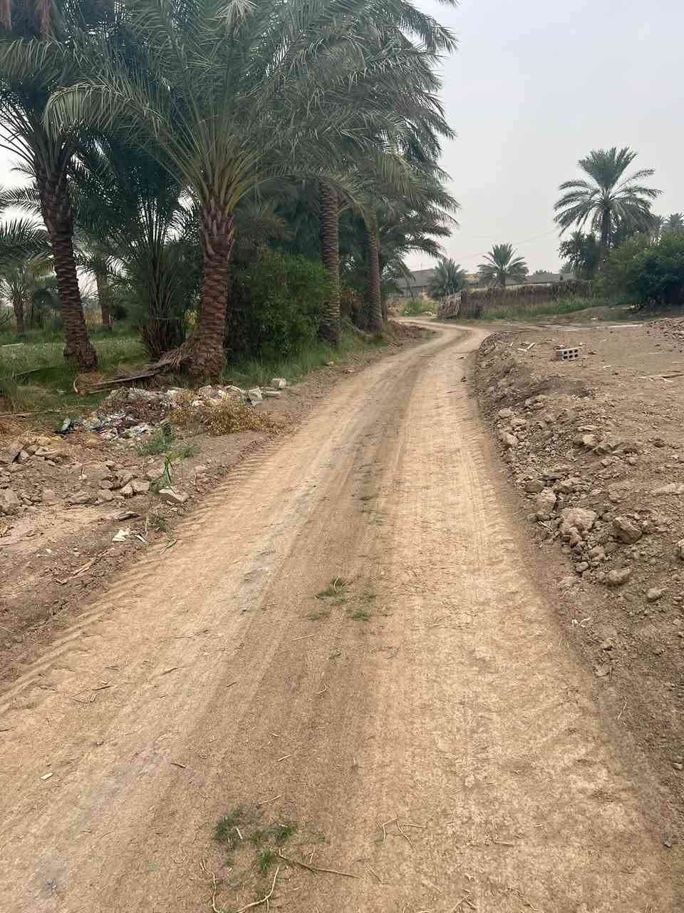 دونم كامل • سند ٢٥ • طابو زراعي