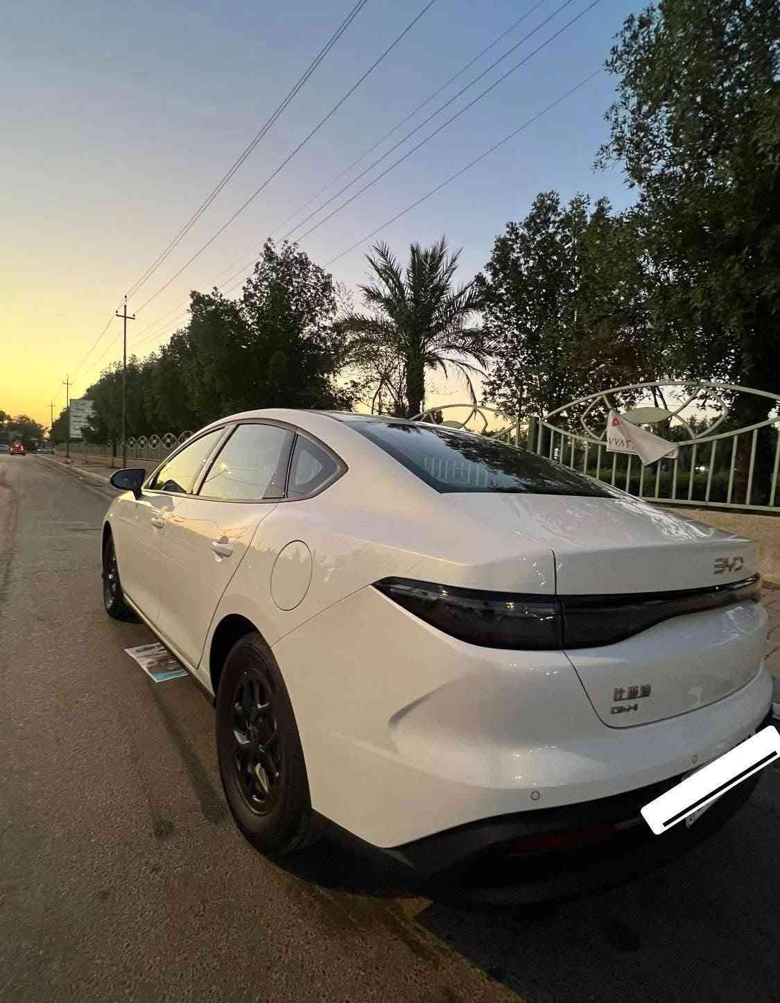 سيل فايف • ٢٠٢٥ • كفالة عامه