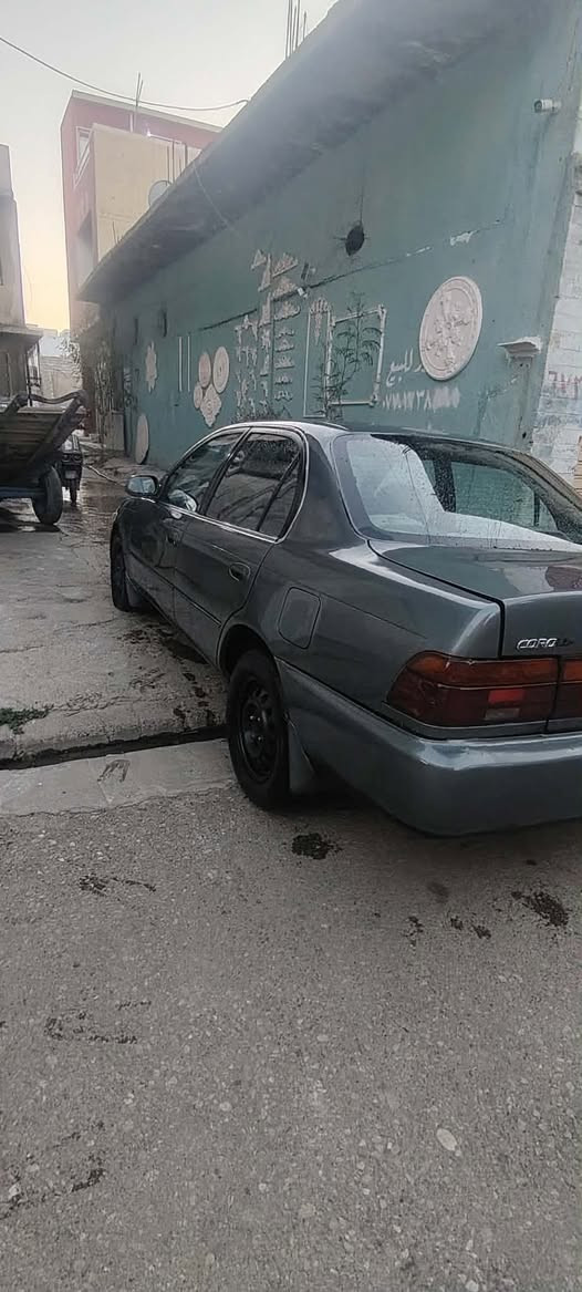 كورلا للبيع موديل ٩١ سنوية جديدة رقم دولي مصبوغة عام شرط التحويل مكاني الايمن السعر ٤٨ وبيهامجال   ***********     ***********
