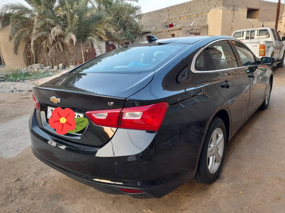 ماليبو • ٢٠٢٤ • رقم بصره