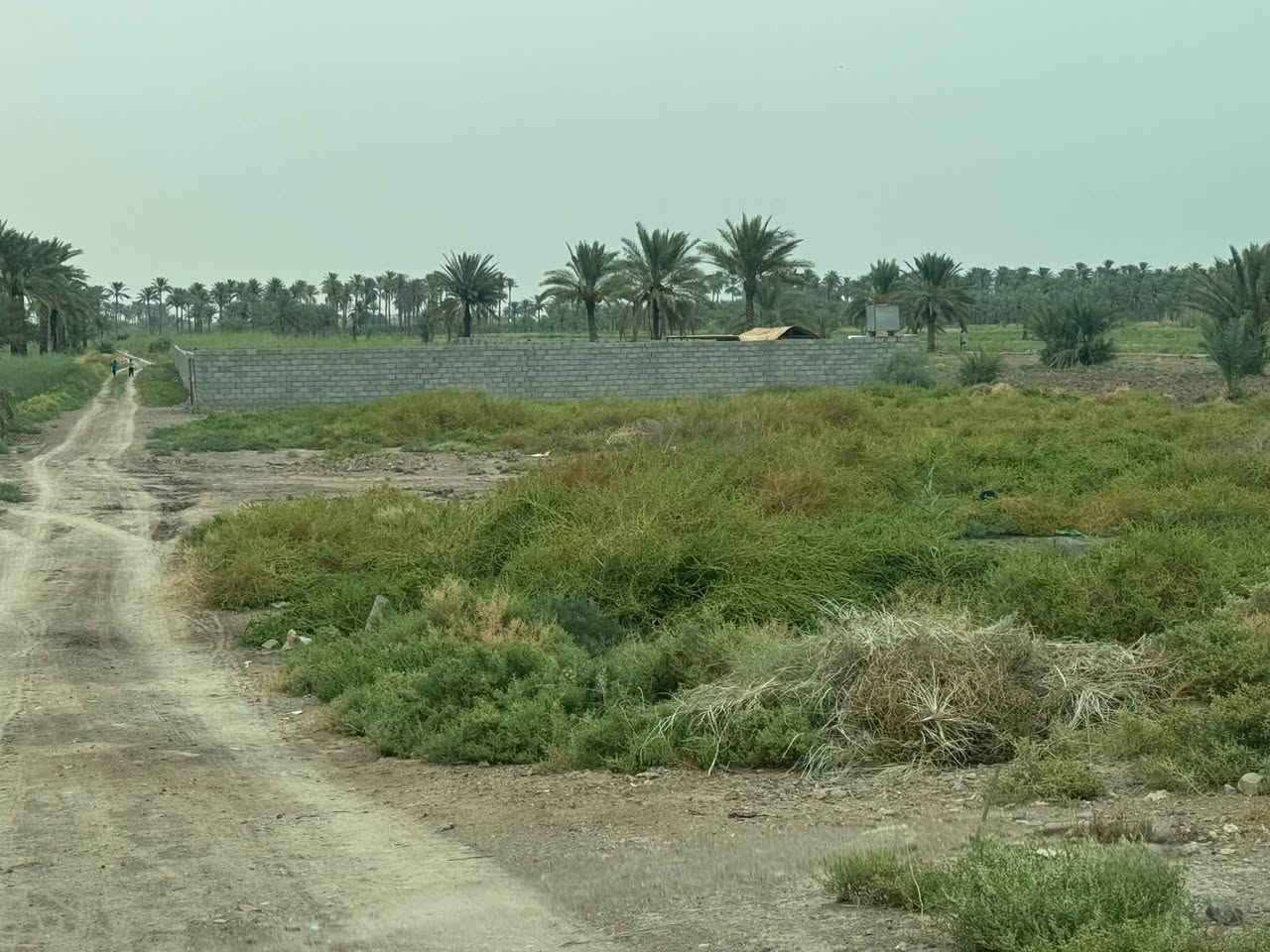 الشهابي الاولى • ٨٠٠م • طابو زراعي
