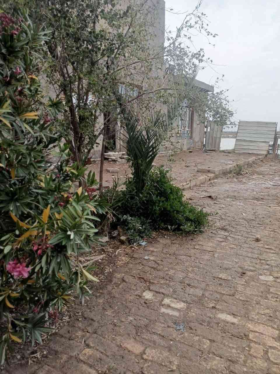للبيع أو لمراوس
المساحه ٦٠٠
بناء٢٠٠
بناء طابوق
السعر ٩٣
العنوان الحميديه شارع الطاقه قرب مدرسه المزايا
رقم الهاتف
***********
