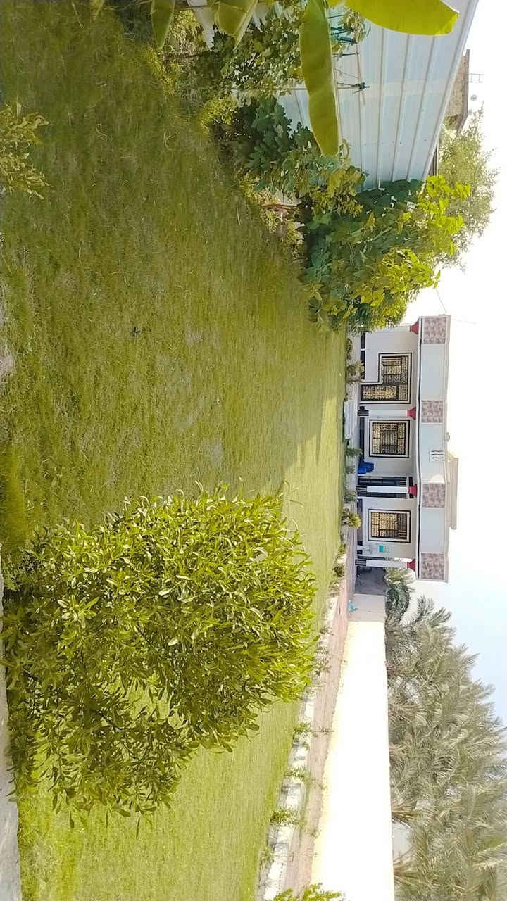 اليوسفيه شارع ثالث • ٣٠٠م • طابو زراعي