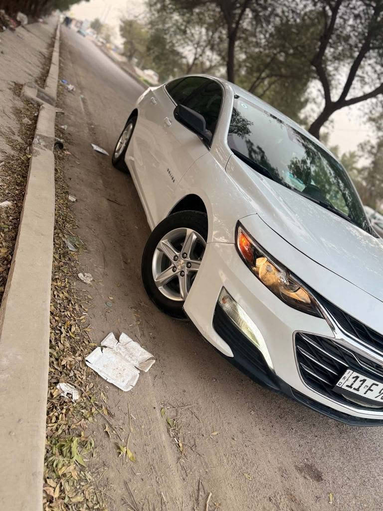 للبيع أو المراوس (حسب القناعة)

🚗 شيفروليه ماليبو 2023 (نص مواصفات)

المحرك: 1500 توربو (كير ومحرك بشرط الخير).

المسافة المقطوعة: 71,000 كم.

الرقم: بغداد (باسم صاحب السيارة، تحويل مباشر).

المواصفات:

تشغيل عن بعد.

رادار أمامي.

نظام تحديد مسار.

تبريد قطعتين.

حالة البودي والحادث:

حادث البجم كبس (عدا الدعامية) وكما موضح بالصور.

📞 للاستفسار والتواصل (اتصال أو واتساب): *********** بغداد, العراق
