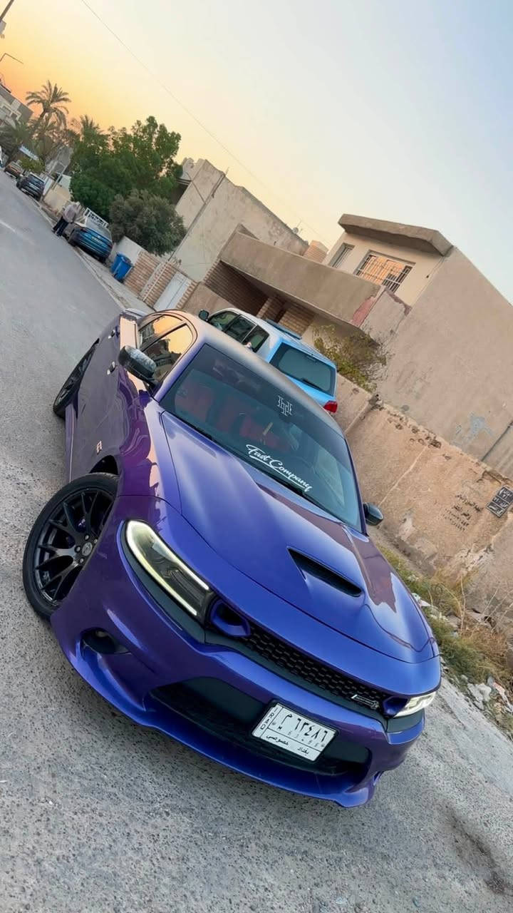 جارجر سكات باك ٢٠١٨ لون بنفسجي مميز مواصفات السكات المعروفه من شاشة كامرة، حساسات ورادارات جانبيه شفتات ستيرن كشنات حظن كهرباء ، غرفه داخل احمر ، سماعات بيتس ويل هلكات اصلي عليها بلكات ريسنك NGK  وبرمجه كاملة وتفريغ يم مصطفى ايكل ، ماشيه ٦٠ الف كيلو .. حادثها بنيد مبدل اصلي ومصبوغ والجاملغ نفسه بارد السيارة قطعه وحده صبغ فقط البنيد .
السياره جديده كلش وجاهزة مسويلها ادامة كامله للمحرك وللصدر قبل فترة بسيطه والسعر 185 وبيها مجال مكان السيارة زيونة .
***********
