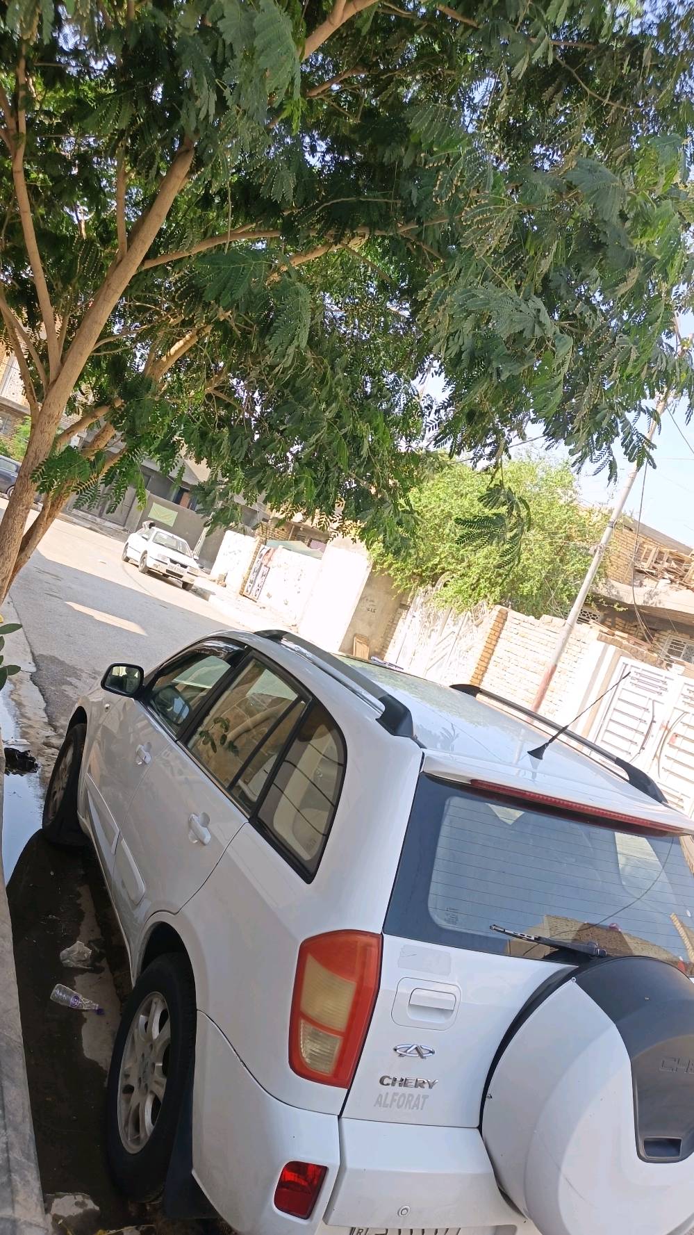 تيكو • ٢٠١٥ • رقم بغداد