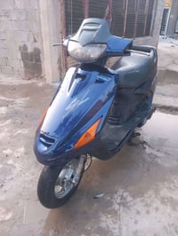 فراشه فحل • مكفولة • ٤ اشهر