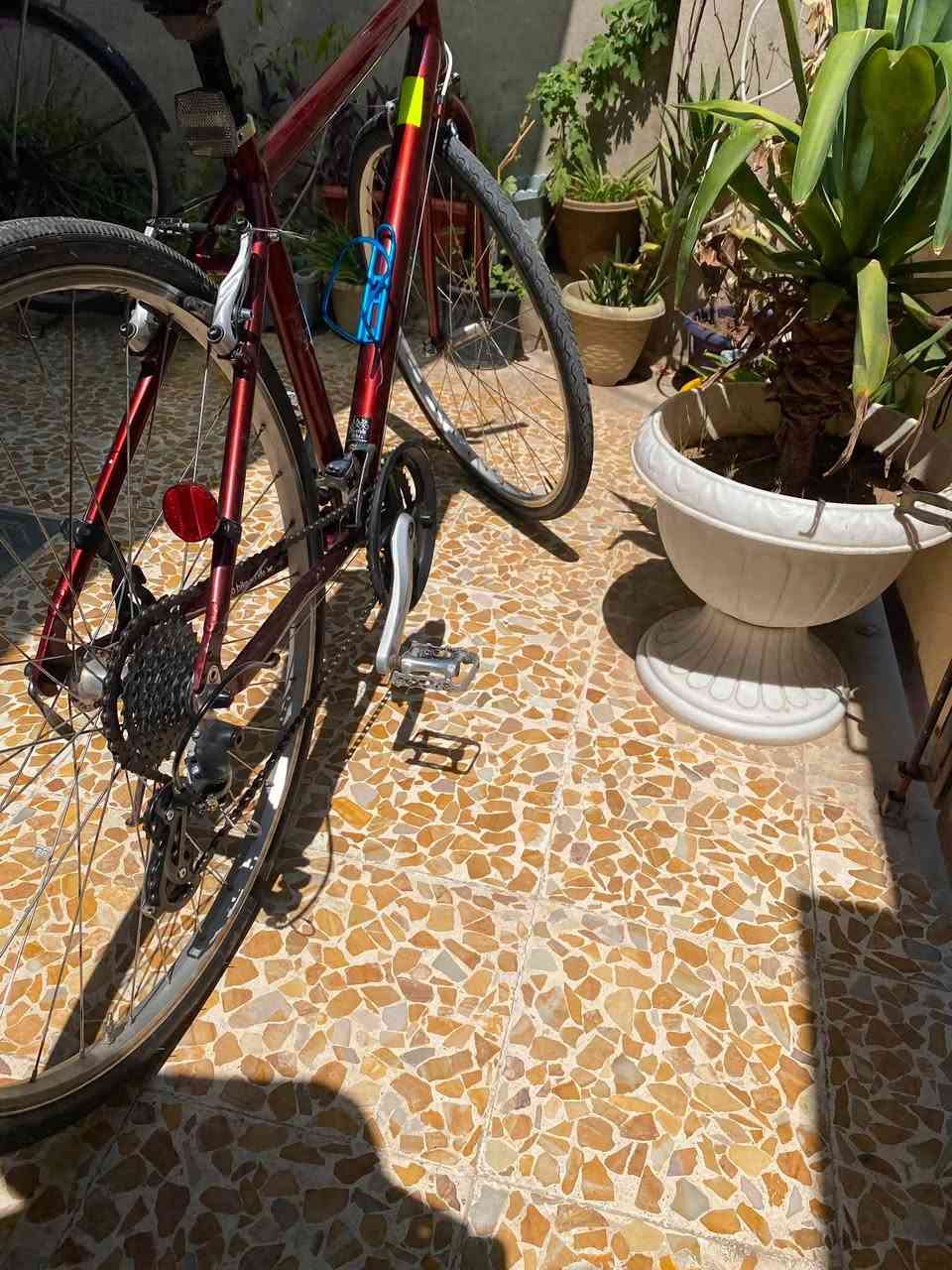 السلام عليكم
c700 سباق

46CM

مكينه 8خلفي '3 امامي كلو شغال 

شرط بل معدل فول

معدن المنيوم 

والماشه المنيوم 

دراجه خفيفه بشكل 

تايرات زينهه 

جوابه زينه

كلو جديد تجي تشوفها احلا من صور سعرها 125 

*********** واتساب متواجد فيس متواجد
