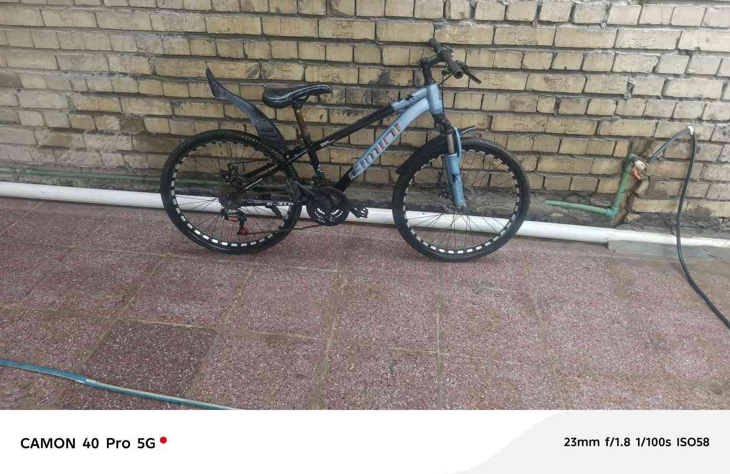 بيسكل • ياباني • سعر خاص